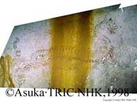 http://www.tric.u-tokai.ac.jp/hp2/new/byakko