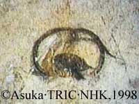 http://www.tric.u-tokai.ac.jp/hp2/new/genbu